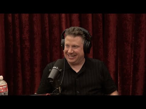 Joe Rogan Experience #2373 - Dave Landau