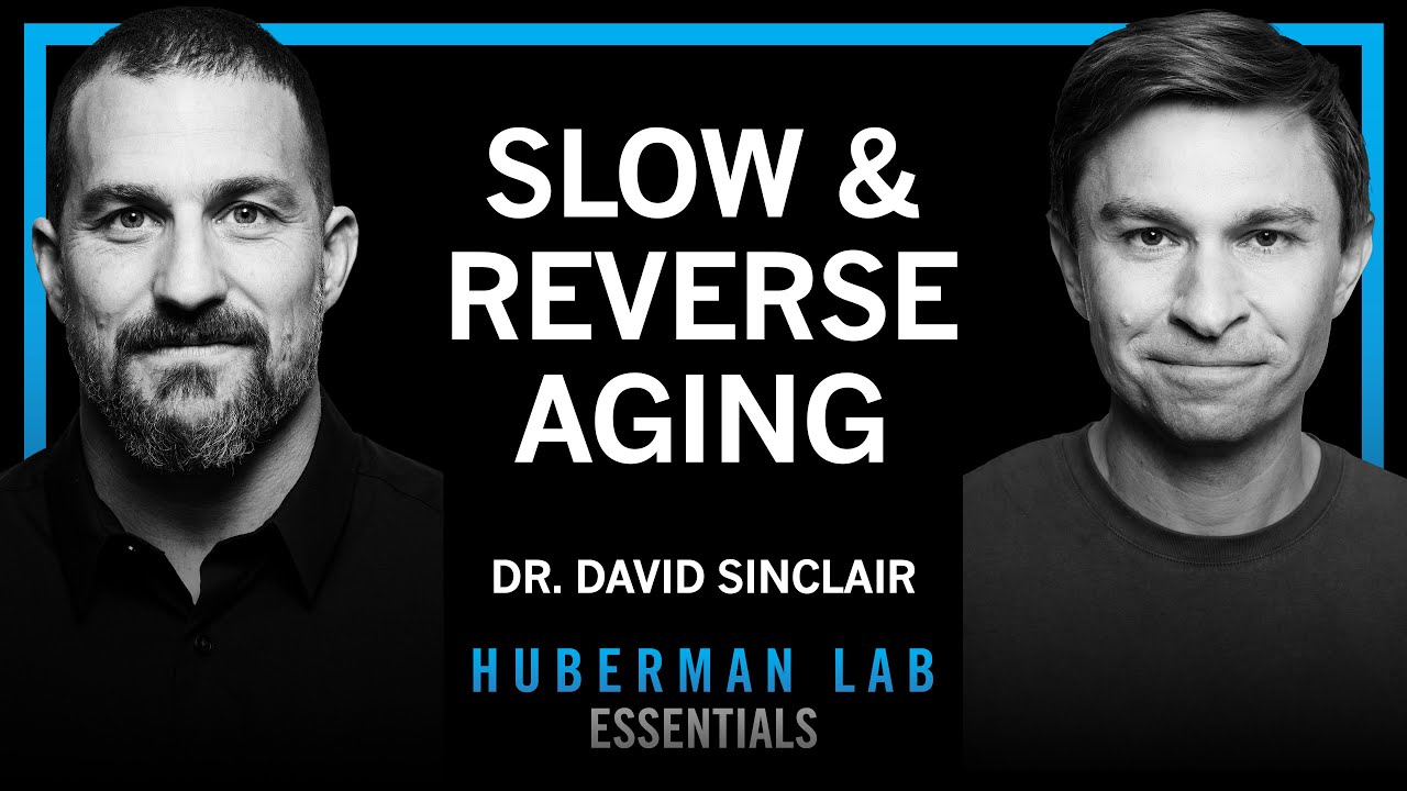 Essentials: The Biology of Slowing & Reversing Aging | Dr. David Sinclair